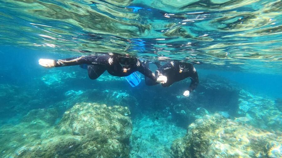 Tenerife: Snorkeling Tour in a Marine Protected Area - A protected bay instead of a boat trip