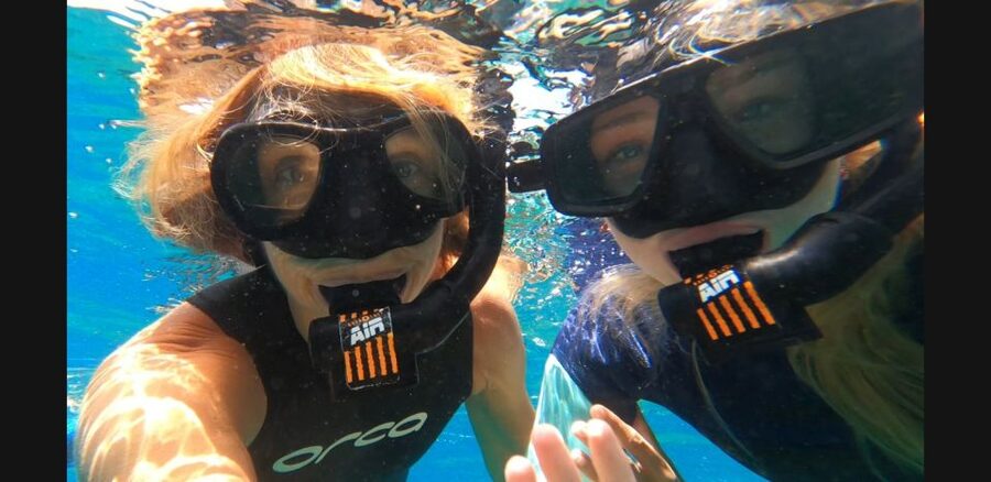 Tenerife: Snorkeling Tour in a Marine Protected Area - What you may see below the surface