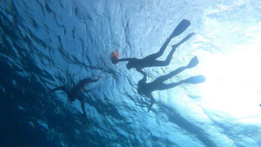 Tenerife: Snorkeling Tour in a Marine Protected Area - Gear, comfort, and small practical details