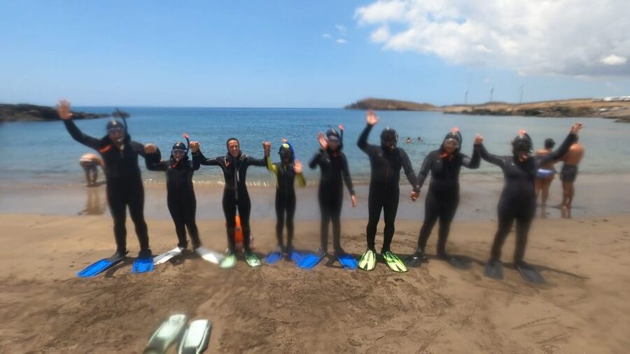 Tenerife: Snorkeling Tour in a Marine Protected Area - Who should book this Abades snorkel?