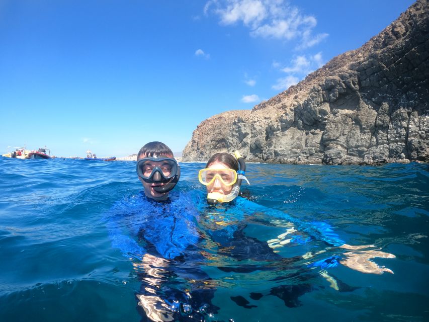 Tenerife: Snorkeling Trip in a Turtle Habitat - Who should book this Tenerife snorkeling trip?