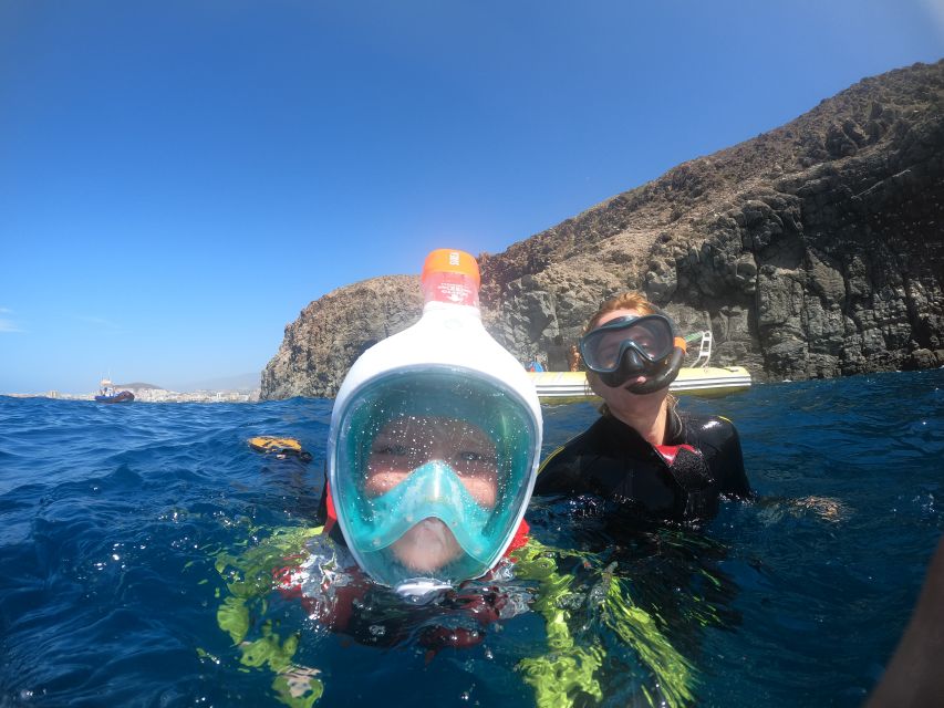 Tenerife: Snorkeling Trip in a Turtle Habitat - Fifty minutes in Tenerife’s turtle habitat