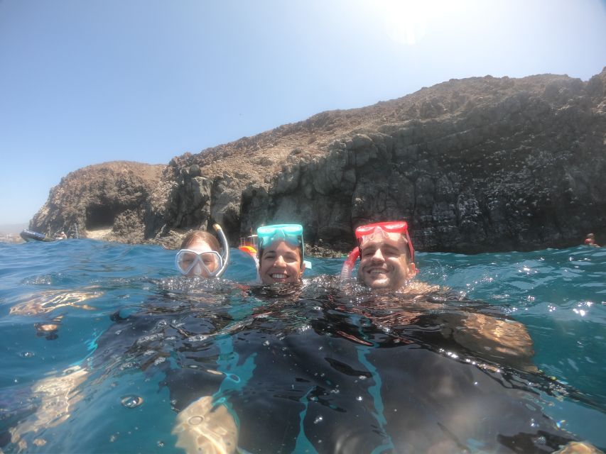 Tenerife: Snorkeling Trip in a Turtle Habitat - A good first sea outing for children and nervous swimmers