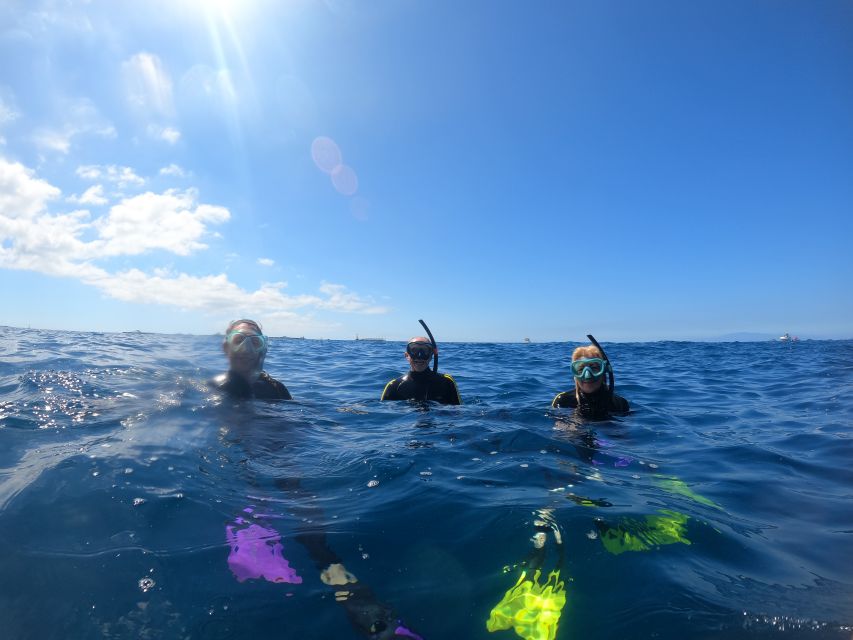 Tenerife: Snorkeling Trip in a Turtle Habitat - The gear, comfort, and small practical details