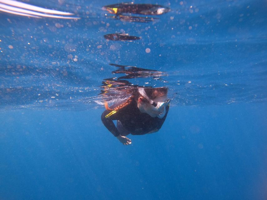 Tenerife: Snorkeling Trip in a Turtle Habitat - Guides who make the difference