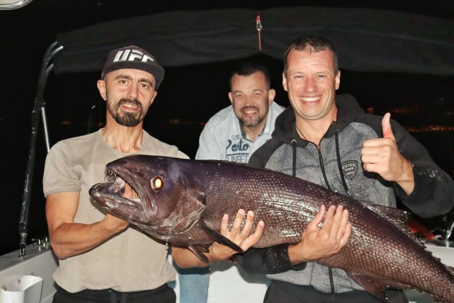 Tenerife: South Island Boat-Trip and Sea Excursion - Searching for dolphins, whales, and turtles