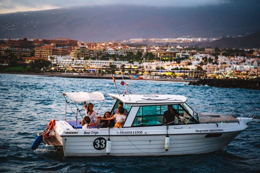 Tenerife: South Island Boat-Trip and Sea Excursion - Why the private price can make sense