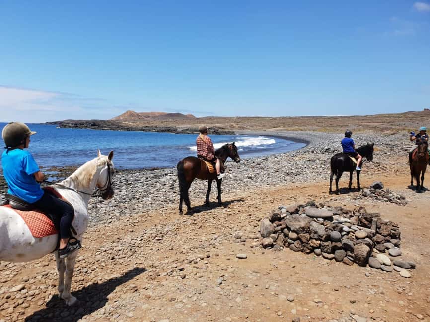 Tenerife South: Private Horseback Riding to the Coast - Key points to know before you book