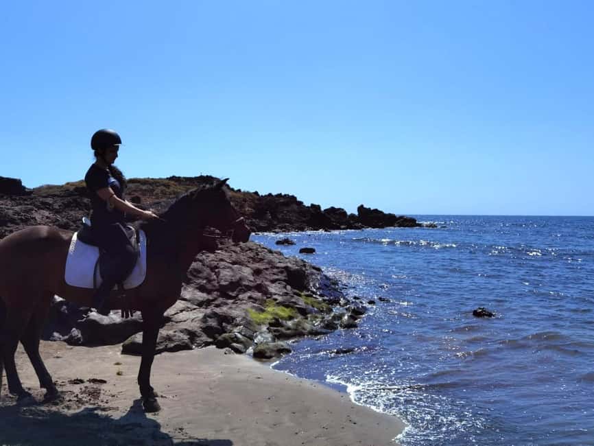 Tenerife South: Private Horseback Riding to the Coast - Riding from Tenerife’s south toward Costa del Silencio