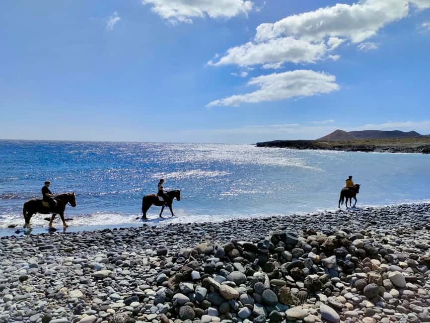 Tenerife South: Private Horseback Riding to the Coast - The coastal stop at Costa del Silencio