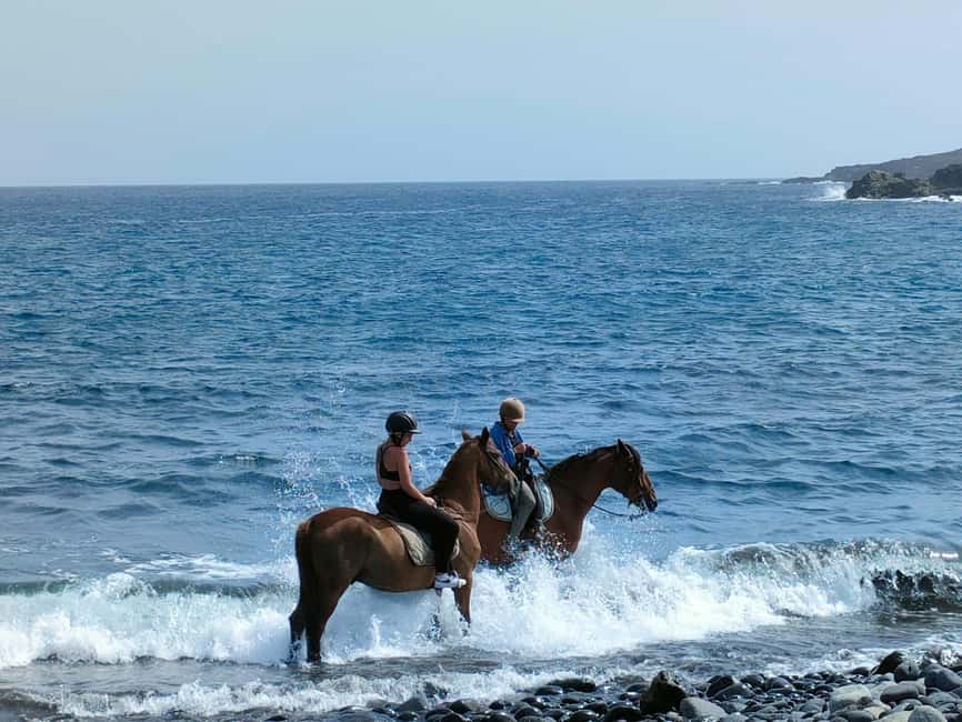 Tenerife South: Private Horseback Riding to the Coast - A private ride with an instructor beside you