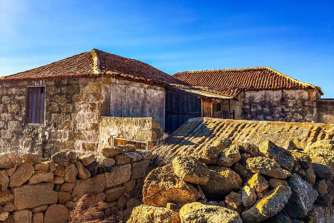 Tenerife South Private Tour: Secrets of the Volcanoes - Vilaflor, ash-covered terraces, and the value of water