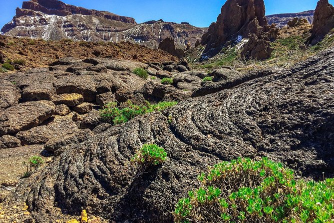 Tenerife South Private Tour: Secrets of the Volcanoes - Guide Jaime Muñoz and the personal style of the day
