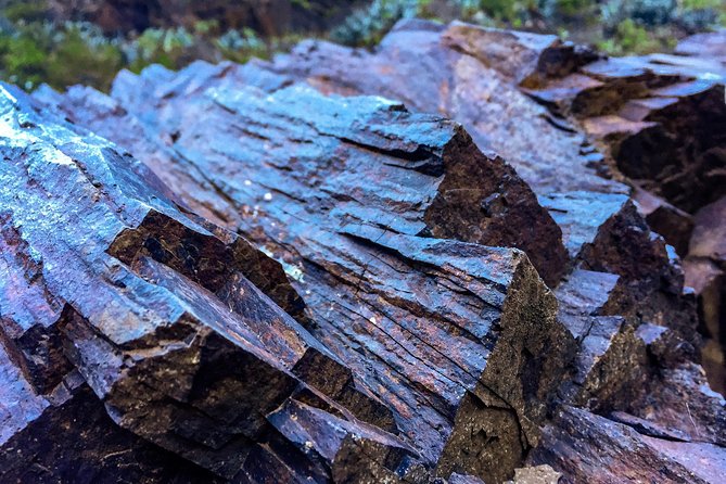 Tenerife South Private Tour: Secrets of the Volcanoes - Is $921.15 good value for two people?