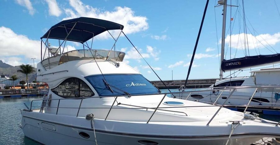 Tenerife south: safari with luxury boat , animals encounters - A whale safari from Las Galletas