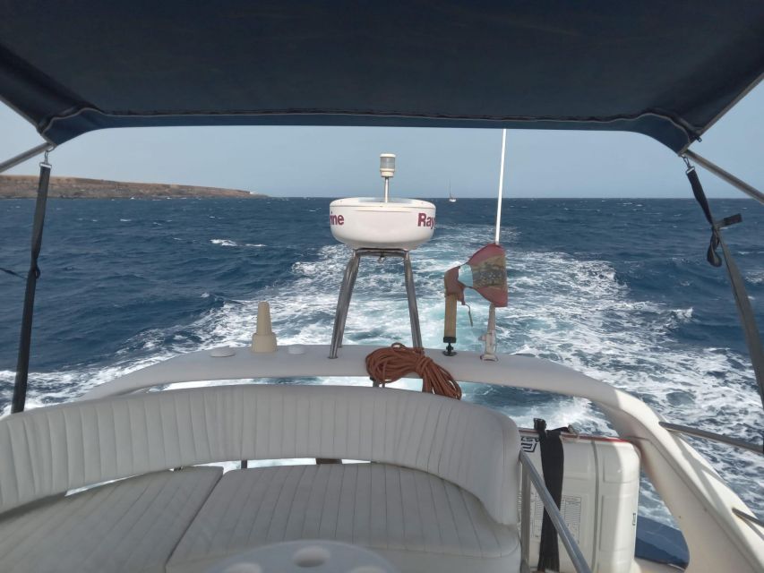 Tenerife south: safari with luxury boat , animals encounters - The halfway swim in an exclusive bay