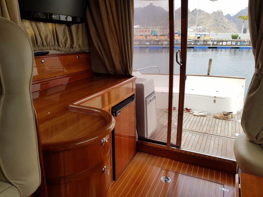 Tenerife south: safari with luxury boat , animals encounters - Who will enjoy this three-hour cruise most