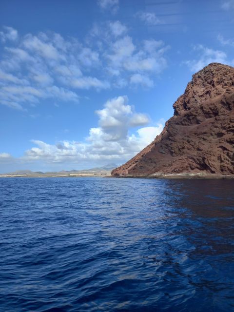 Tenerife south: safari with luxury boat , animals encounters - What to bring and how to plan the day