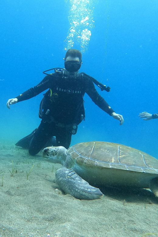 Tenerife south: Scuba Dive for beginners in Adeje - Key points at a glance