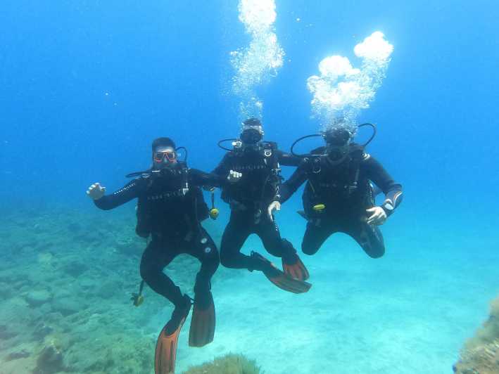 Tenerife south: Scuba Dive for beginners in Adeje - Starting at Hotel GF Isabel in Adeje