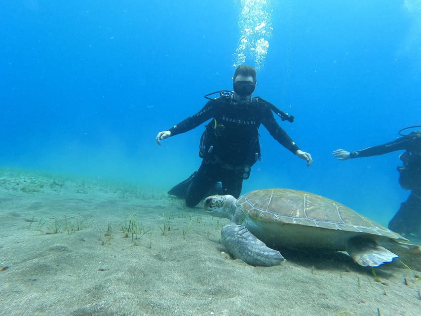 Tenerife south: Scuba Dive for beginners in Adeje - Getting fitted with the full equipment