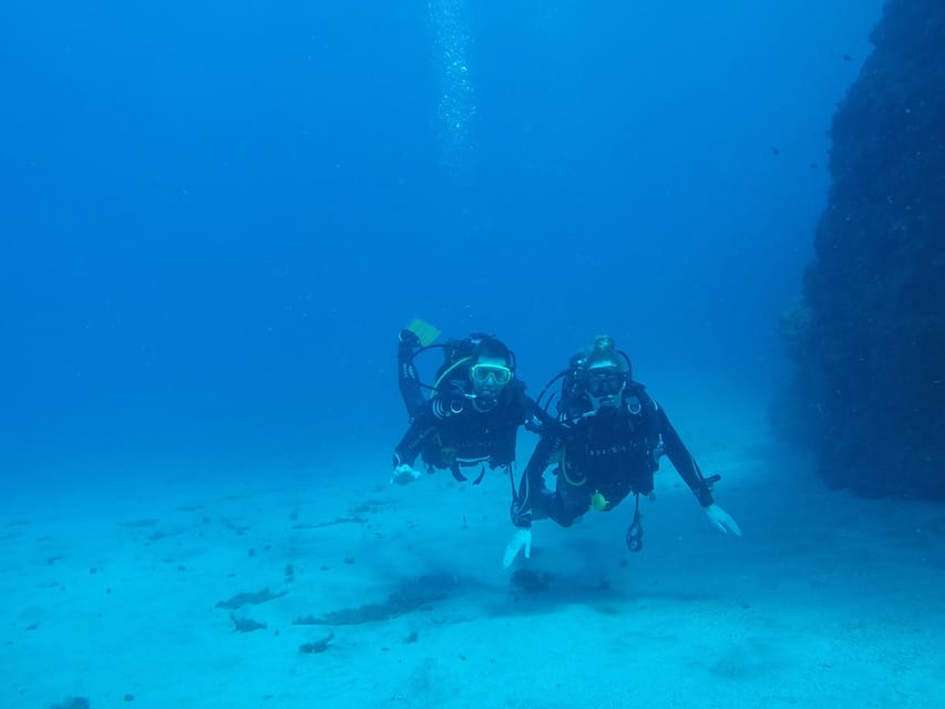 Tenerife south: Scuba Dive for beginners in Adeje - The 45-minute open-water session
