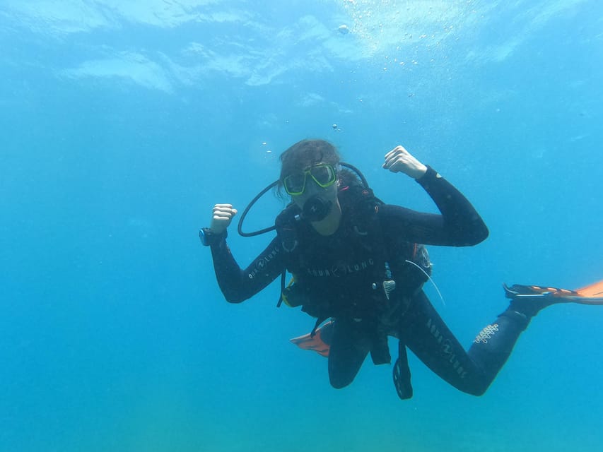 Tenerife south: Scuba Dive for beginners in Adeje - What the $100 price includes