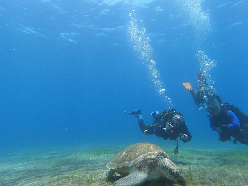 Tenerife south: Scuba Dive for beginners in Adeje - What the strongest feedback tells me