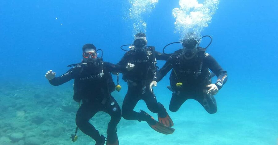 Tenerife south: Scuba Dive for beginners in Adeje - Learning the basics before entering the water