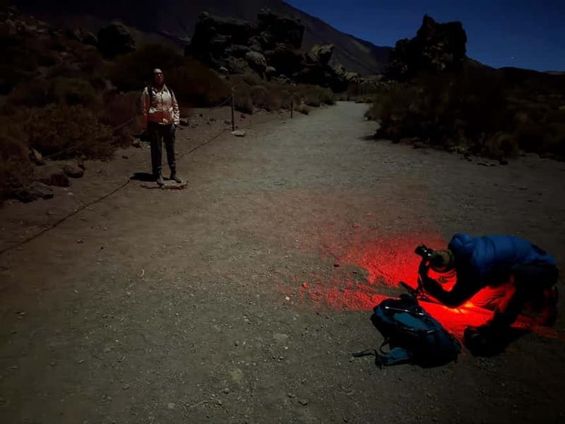 Tenerife: Stargazing Walk in Teide National Park - Key points to know before booking