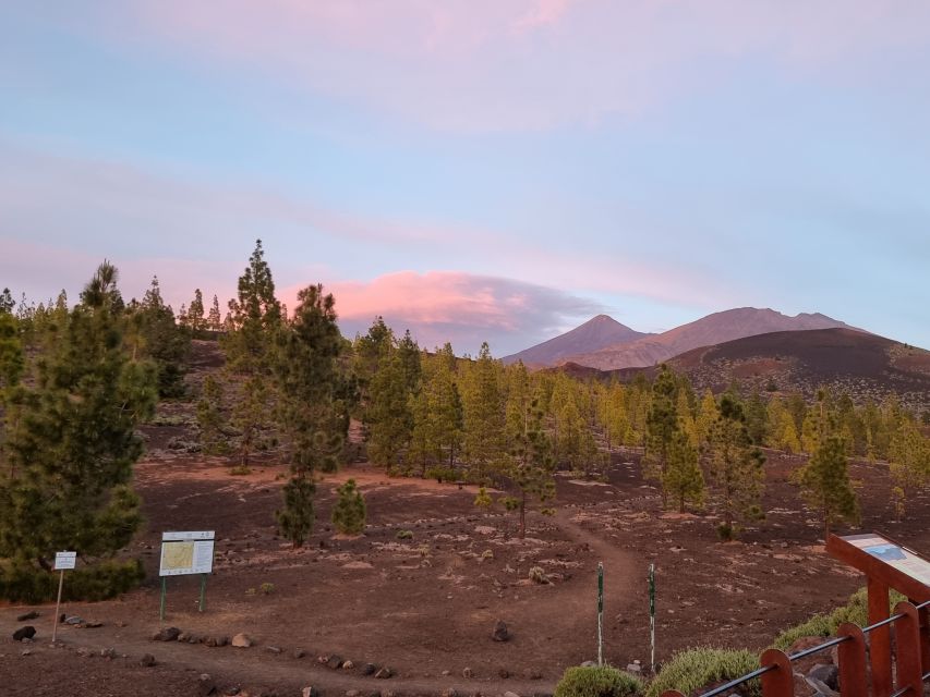 Tenerife: Sunset and Stargazing at Teide National Park - What appears through the 12-inch Dobsonian