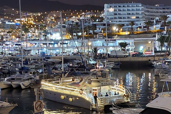 Tenerife Sunset Catamaran tour with transfer - Food and Drinks included. - Offshore in search of whales and dolphins