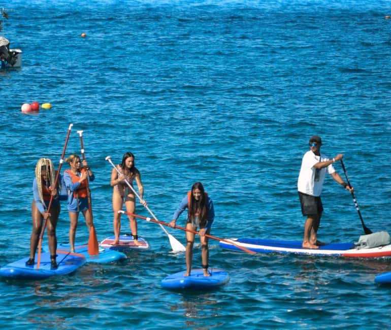 TENERIFE SUR: Paddleboarding tour and SNORKEL - Key points at a glance