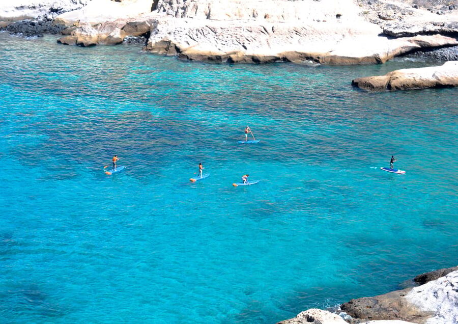 TENERIFE SUR: Paddleboarding tour and SNORKEL - How difficult is the paddleboarding?