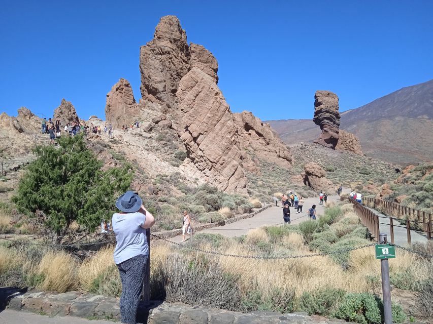 Tenerife: Teide, Icod de los Vinos & Garachico Full Day Tour - Who will enjoy this tour most