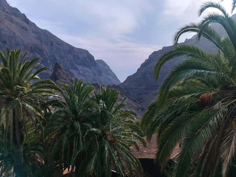 Tenerife: Teide, Masca, Garachico, and Sunset Exclusive Tour - Who should book this tour?