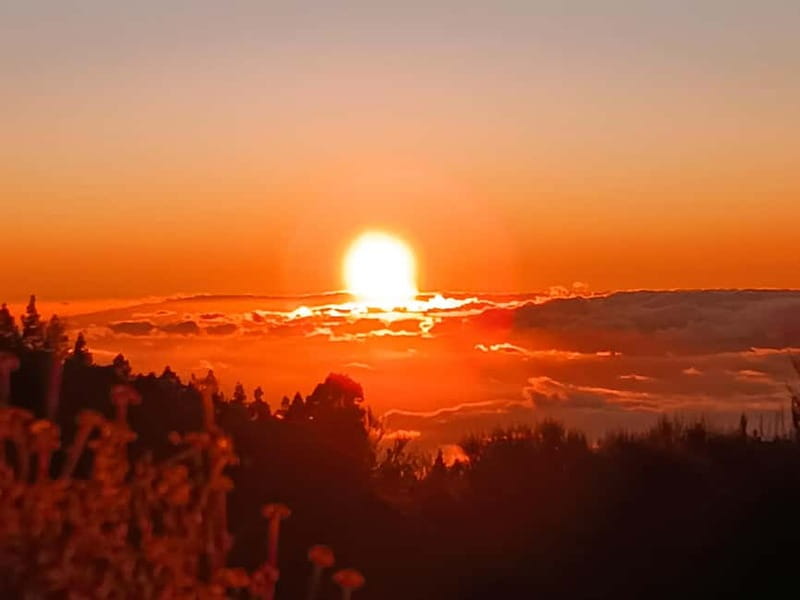 Tenerife: Teide, Masca, Garachico, and Sunset Exclusive Tour - Sunset, champagne, and a look at the stars