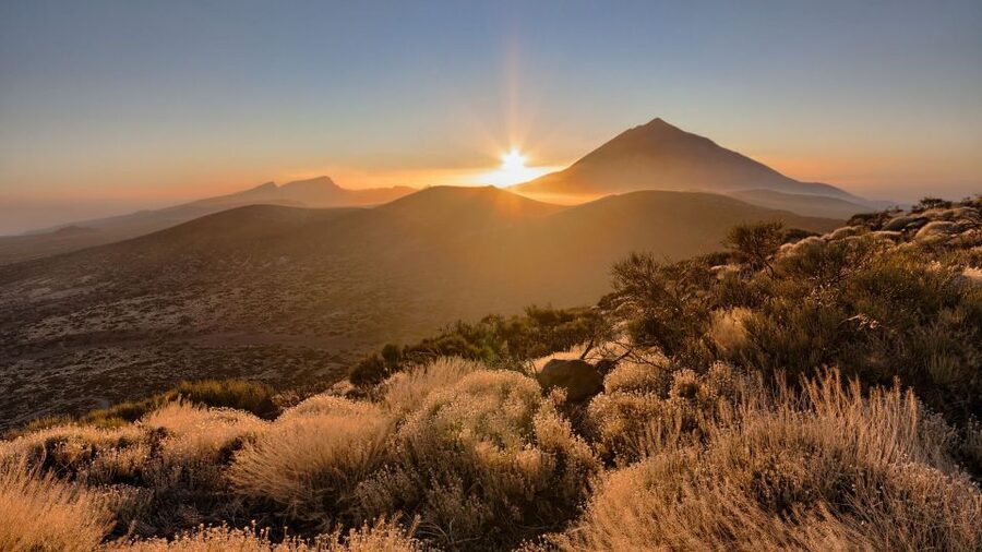 Tenerife: Teide National Park and Dolphins Sailboat Tour - A small sailboat and three hours at sea