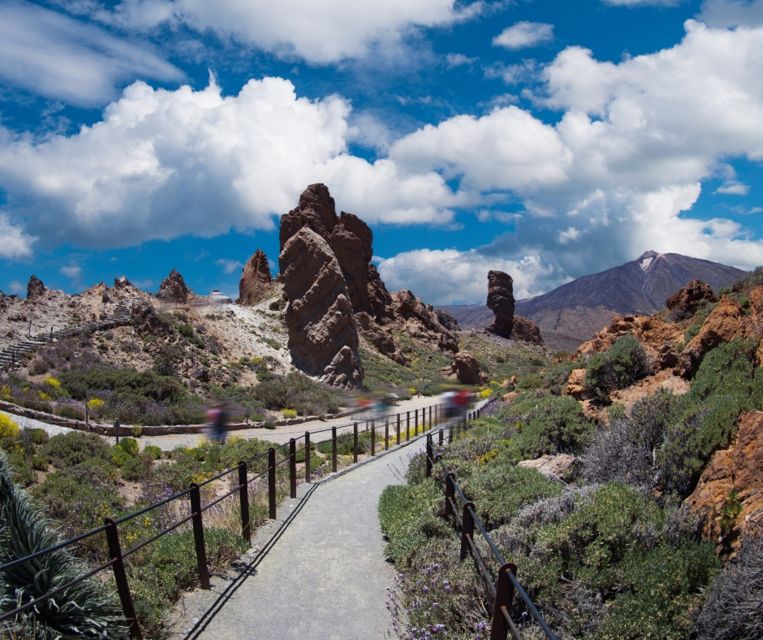 Tenerife: Teide National Park and Dolphins Sailboat Tour - Timing, comfort, and practical limits