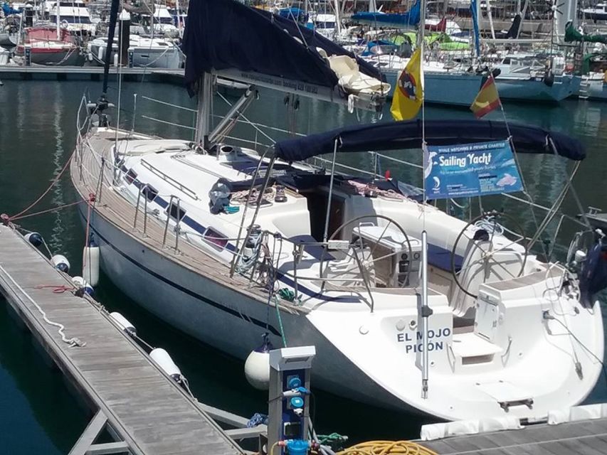 Tenerife: Teide National Park and Dolphins Sailboat Tour - Who will get the most from this tour