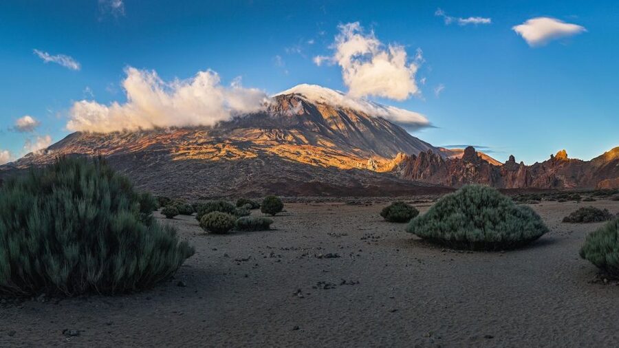 Tenerife: Teide National Park and Dolphins Sailboat Tour - Why the mountain guide matters