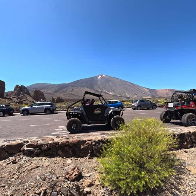 Tenerife: Teide National Park and Volcano Buggy Tour - Who will enjoy this three-hour outing