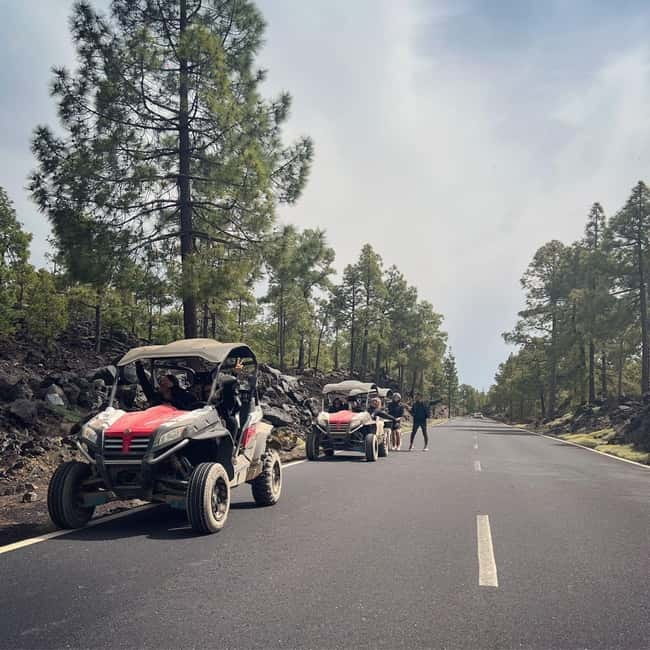 Tenerife: Teide National Park and Volcano Buggy Tour - The climb through Tenerife’s changing scenery