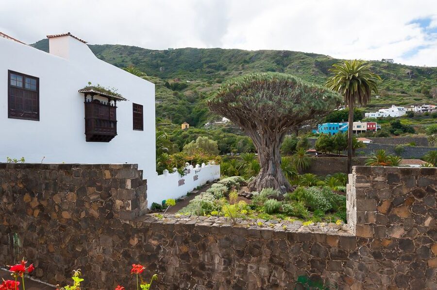 Tenerife: Teide National Park Full-Day Tour with Pickup - Key points before you book