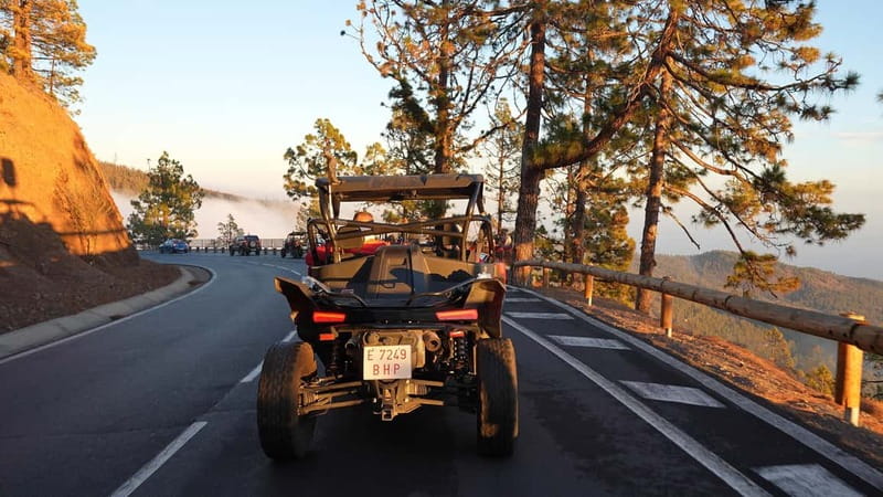 Tenerife: Teide National Park Guided Buggy Tour - How the $221 price measures up