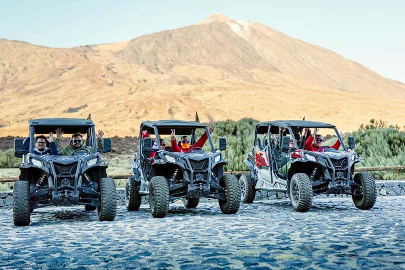 Tenerife: Teide National Park Guided Buggy Tour - Who will enjoy this most