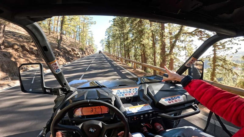 Tenerife: Teide National Park Guided Buggy Tour - Why the drive is more than a vehicle rental
