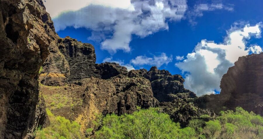 Tenerife: Teide National Park & Teno Rural Park Private Tour - Starting out in a luxury electric vehicle