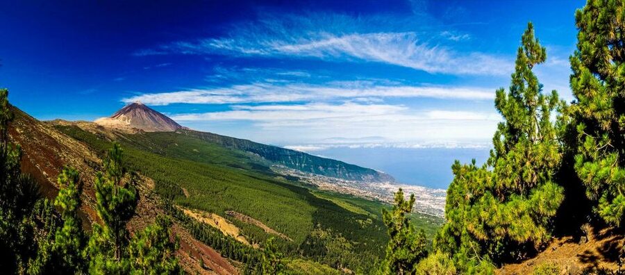 Tenerife: Teide National Park & Teno Rural Park Private Tour - Lunch, regional food, or a picnic