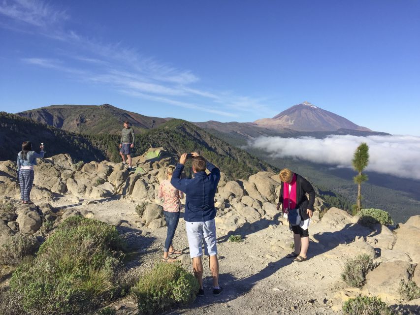 Tenerife: Teide National Park & Teno Rural Park Private Tour - Who will enjoy this day most